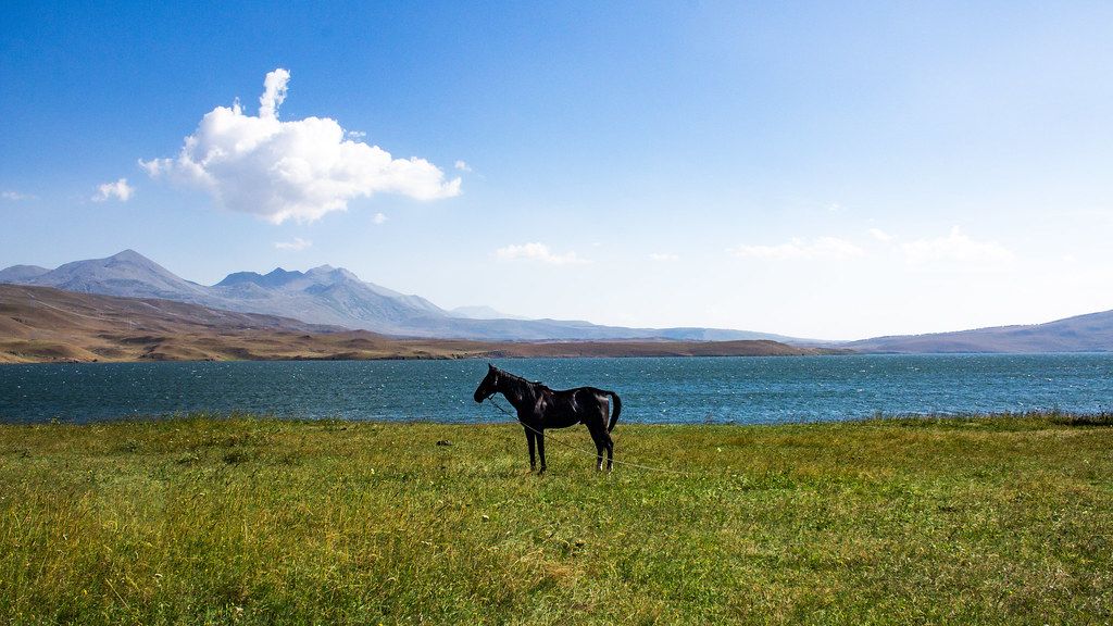 ტაბაწყურის ტბა - უკიდეგანო სილამაზე ივლისს