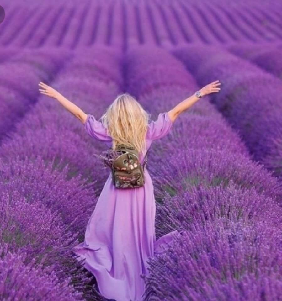 ლავანდების პლანტაცია, ბოდბე, სიღნაღი