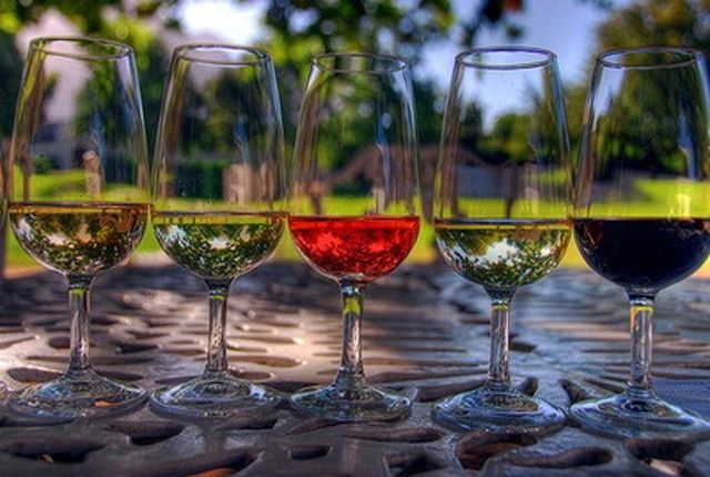 Винный тур в Кахети - ღვინის ტური კახეთში