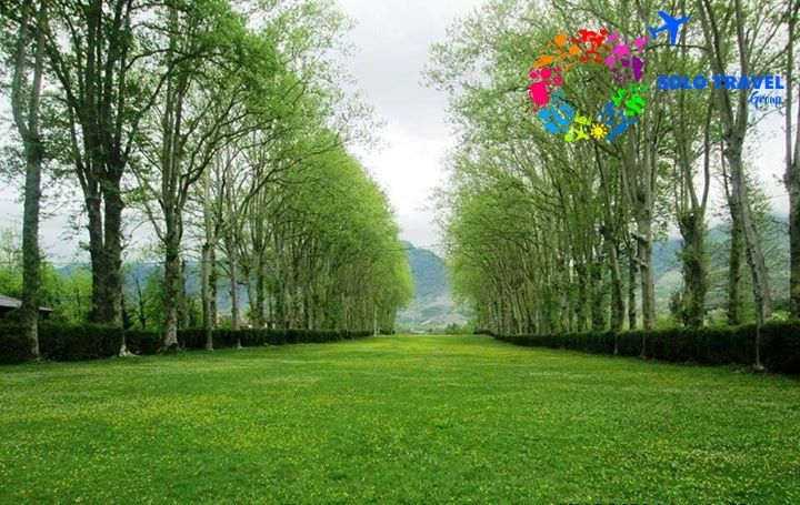 SOLO Travel Group-ი გთავაზობთ ერთ დღიან ეგზოტიკური ტურს მარტვილის კანიონზე