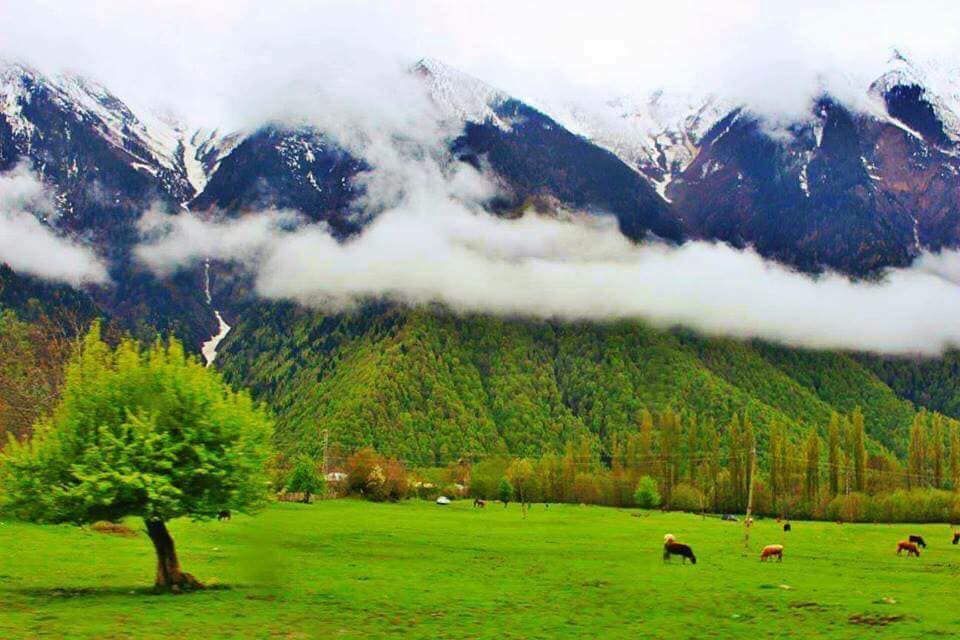 შემოგვიერთდით სვანეთის ტურზე!!