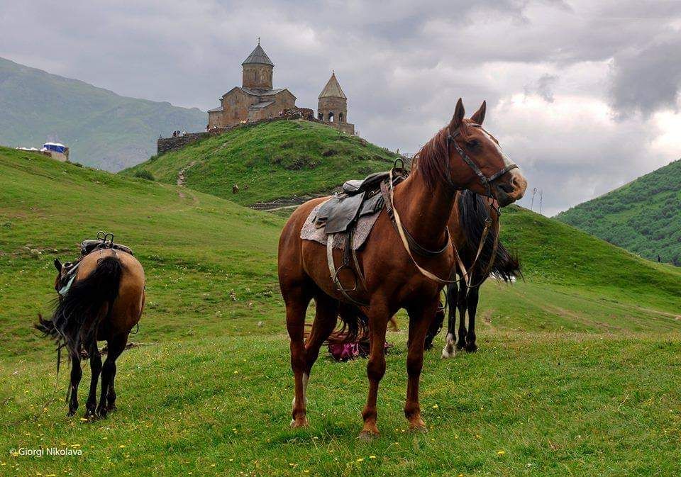 ყაზბეგი