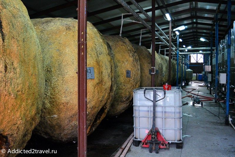 ღვინის  ტური  კახეთში  :  თელავი - წინანდელი - ახმეტა - ყვარელი  :   " მეღვინეობა  ხარება " - კავკასიონის კლდეში ნაკვეთი ღვინის საცავი ... უნიკალური   მუკუზანი . . . !