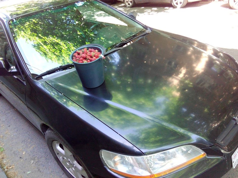 ყაზბეგის კლასიკური ტური !