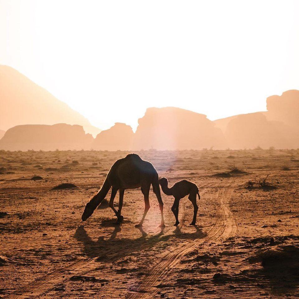 კვიპროსი-იორდანია