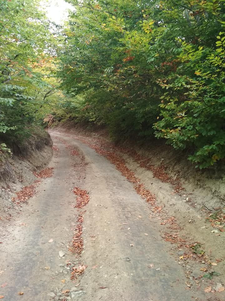 სარკის წმინდა გიორგის მამატა მონასტერი