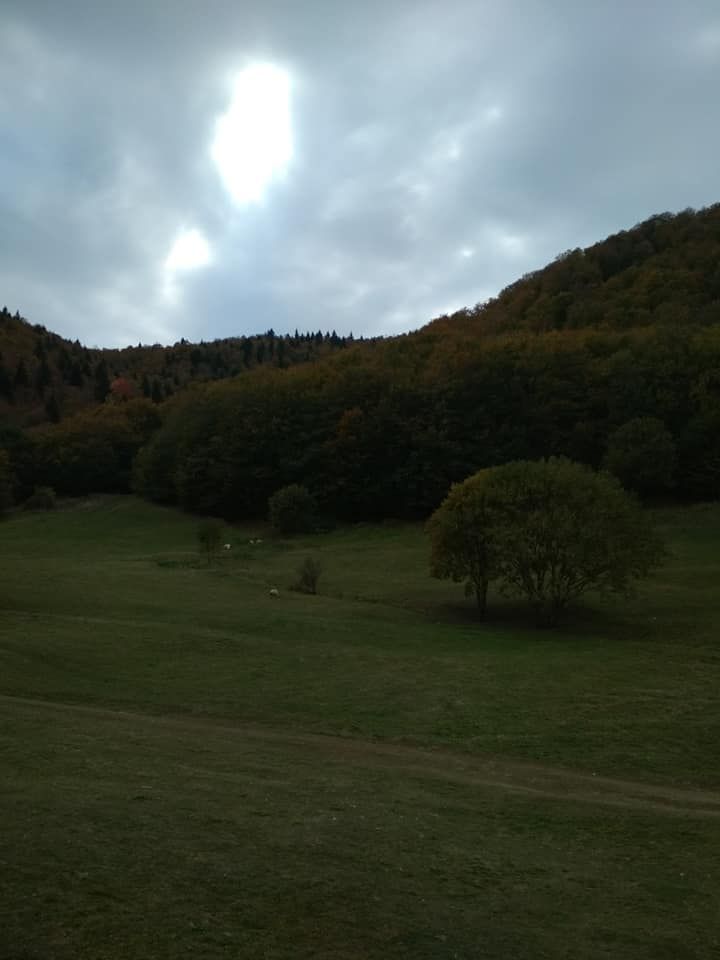 სარკის წმინდა გიორგის მამატა მონასტერი