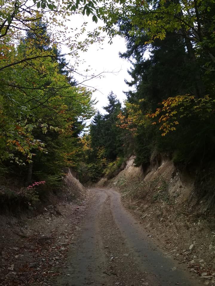 სარკის წმინდა გიორგის მამატა მონასტერი