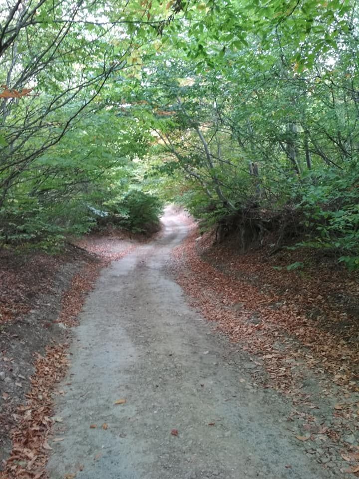 სარკის წმინდა გიორგის მამატა მონასტერი