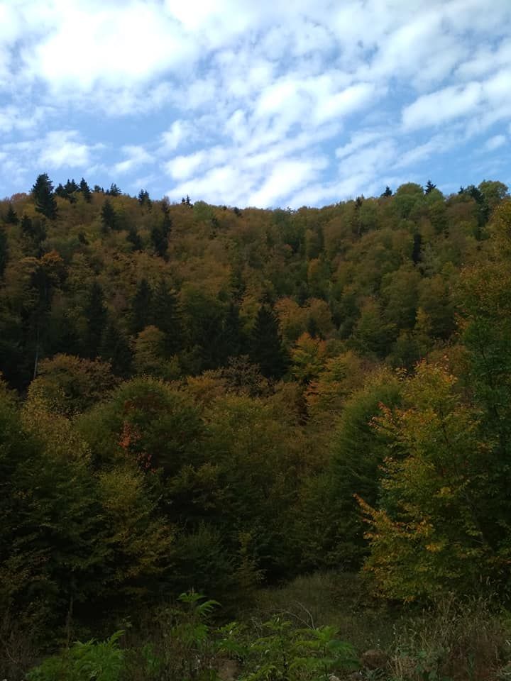 სარკის წმინდა გიორგის მამატა მონასტერი