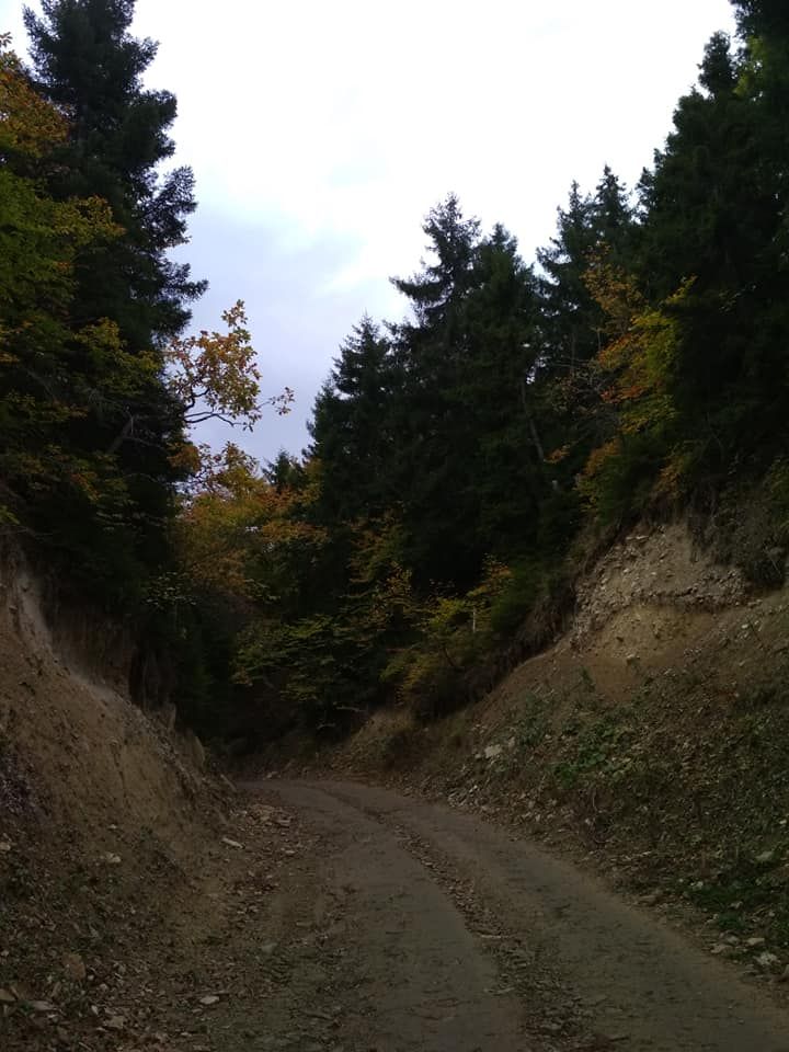 სარკის წმინდა გიორგის მამატა მონასტერი