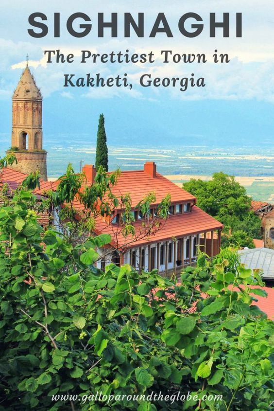 ეკო ტური