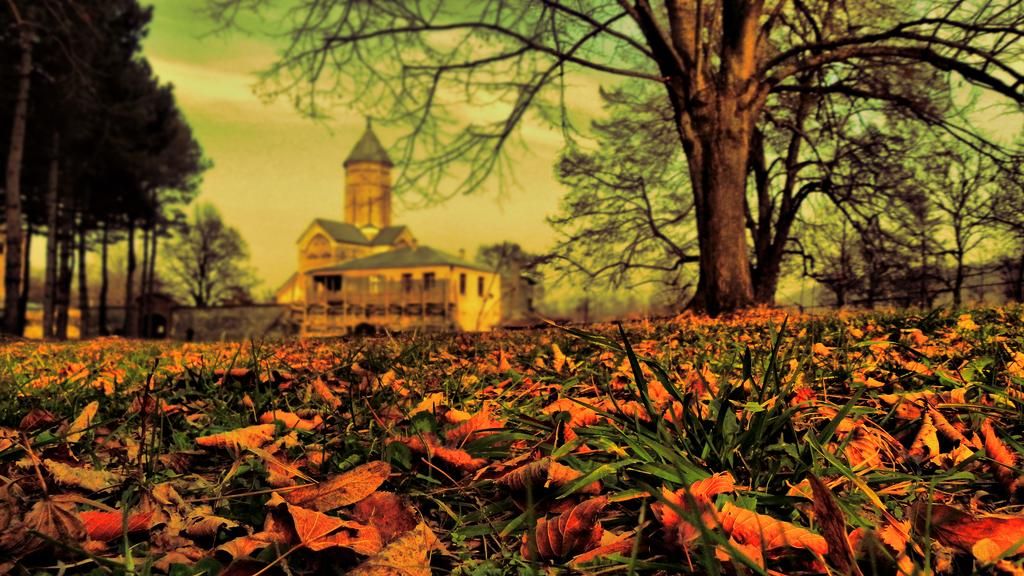 ეკო ტური