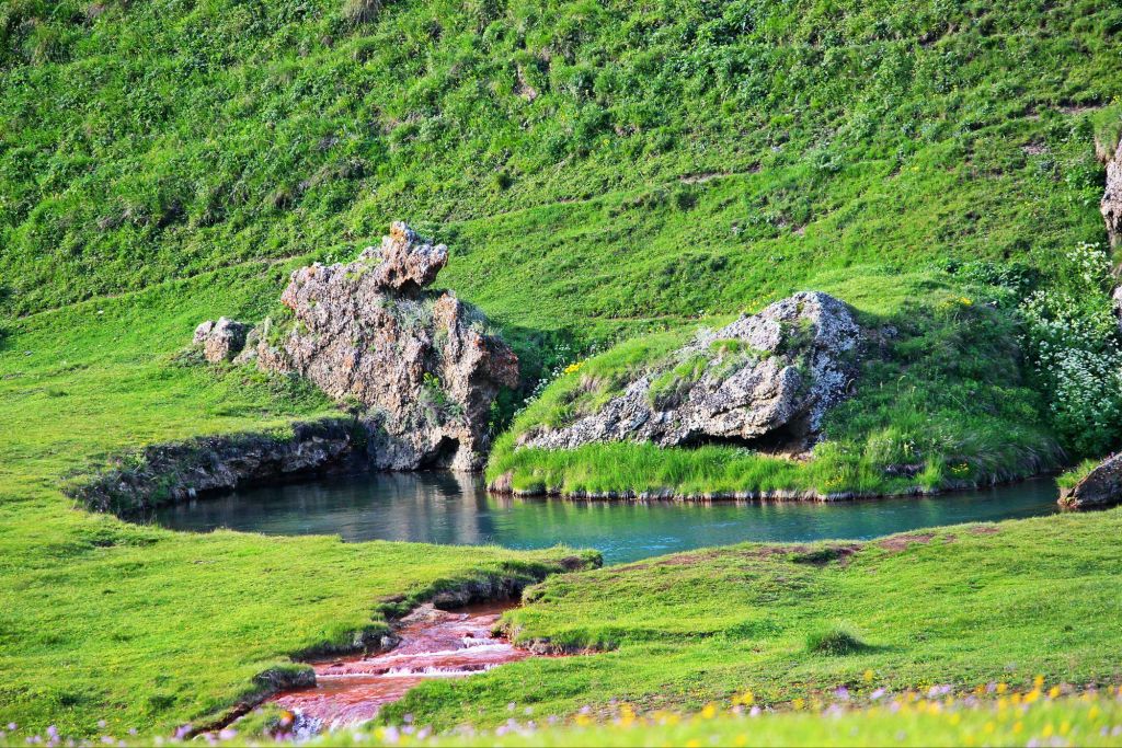 თრუსოს ხეობა - ივლისი - ZooM