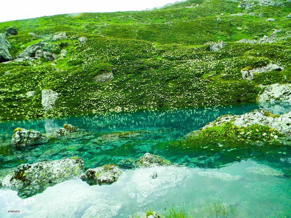 აბუდელაურების ფერადი ტბები ივლისს