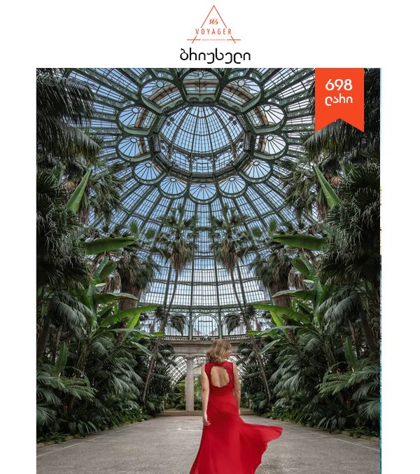 ბრიუსელი