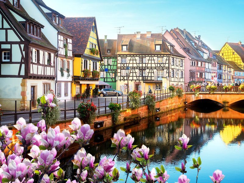 #ბაზელი #კოლმარი #პარიზი