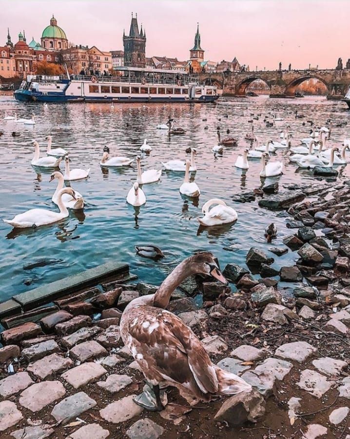 ბუდაპეშტი / პრაღა