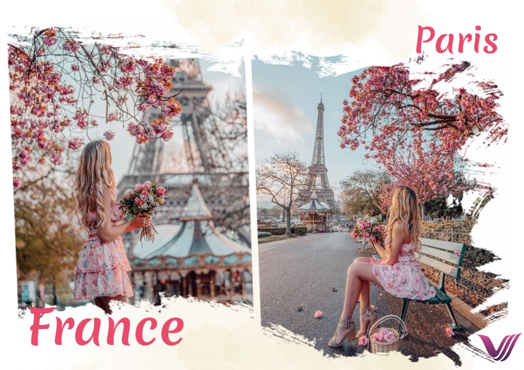 პარიზის დღიანი საგზური ვეგა თრეველისგან!!!