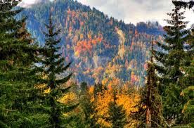 სამცხე-ჯავახეთი (ვარძია, მწვანე მონასტერი, ხერთვისის ციხე, რაბათის, ბორჯომი) - Самцхе-Джавахети (Вардзия, Зеленый монастырь, замок Xертвиси, Рабат, Боржоми)