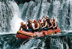 ჯომარდობა