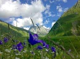 ტური ჯუთაში -  ივლისი, კვირა.