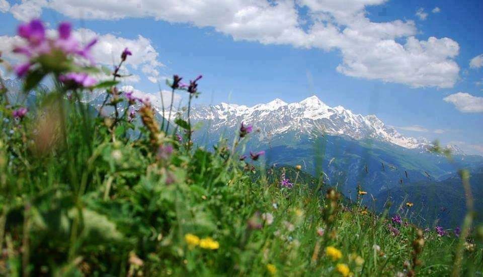 დღიანი  დაუვიწყარი ტური სვანეთში - ,, ივლისი