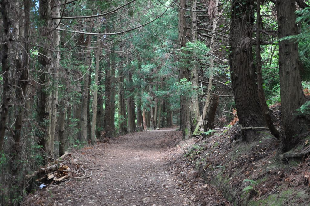 - აგვისტო - ორდღიანი გომისმთის ტური