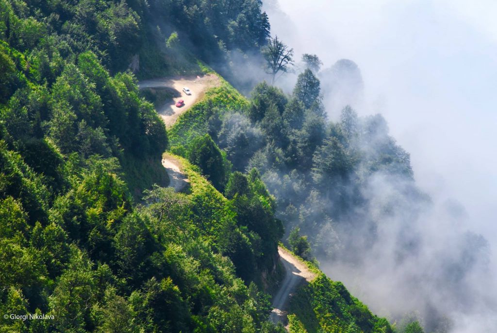 - აგვისტო - ორდღიანი გომისმთის ტური