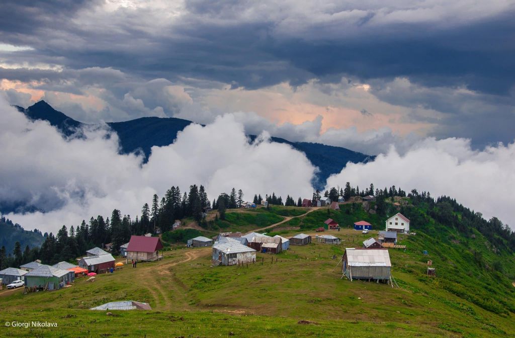 - აგვისტო - ორდღიანი გომისმთის ტური