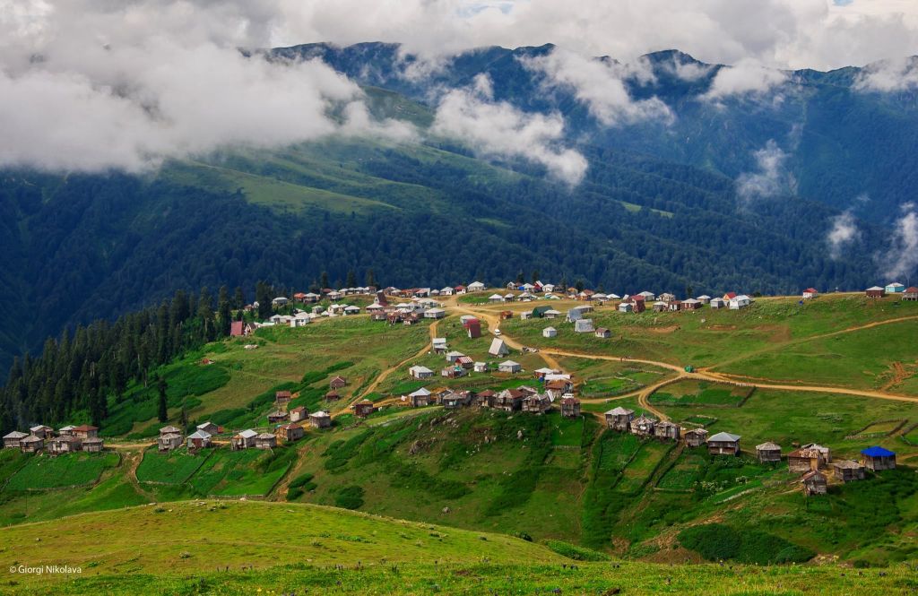 - აგვისტო - ორდღიანი გომისმთის ტური