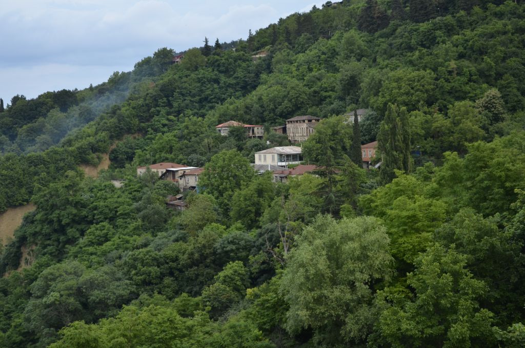 სიღნაღი