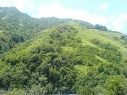 ტურები საქართველოში