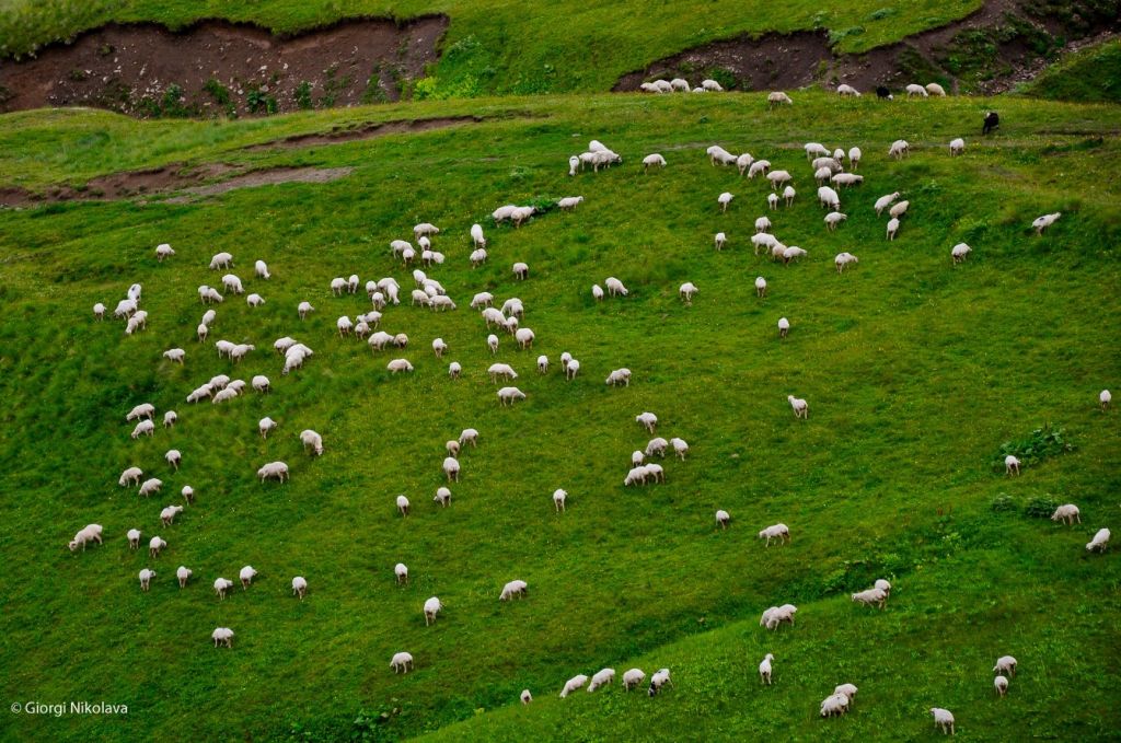 აგვისტო - ერთდღიანი ხევსურეთის ტური