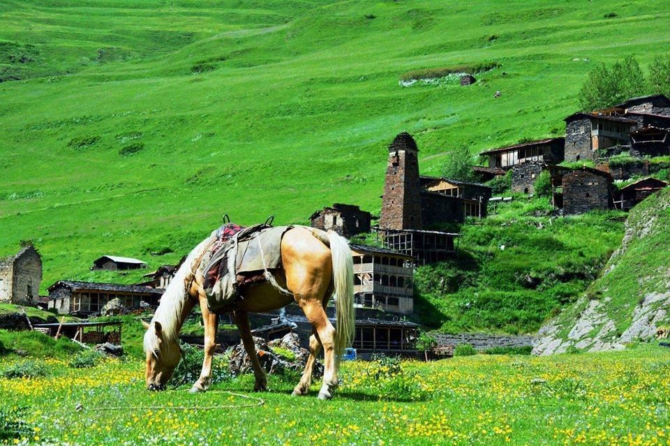 -- აგვისტო - სამდღიანი თუშეთის ტური