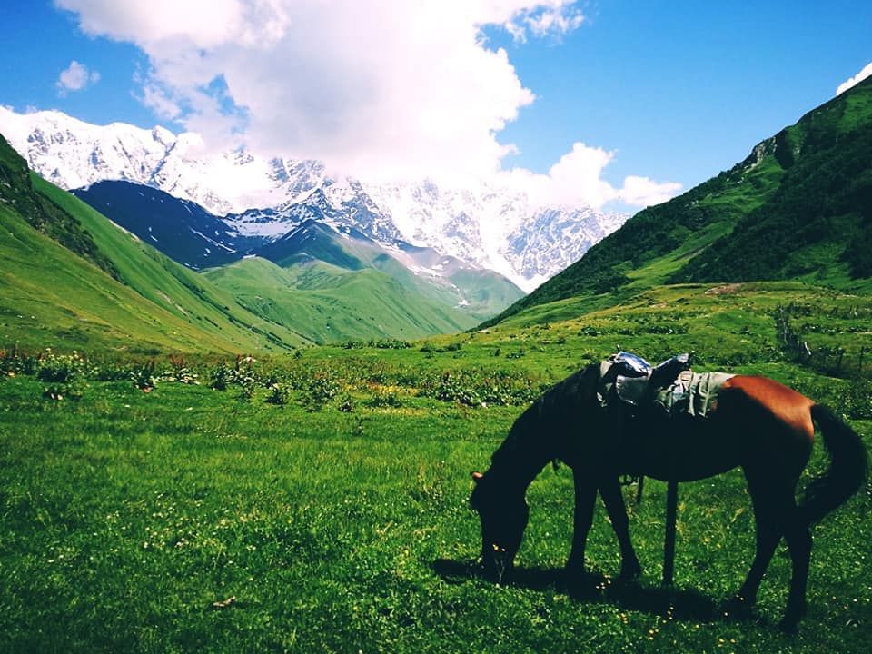 კვირიკობა სვანეთში, ,, ივლისი