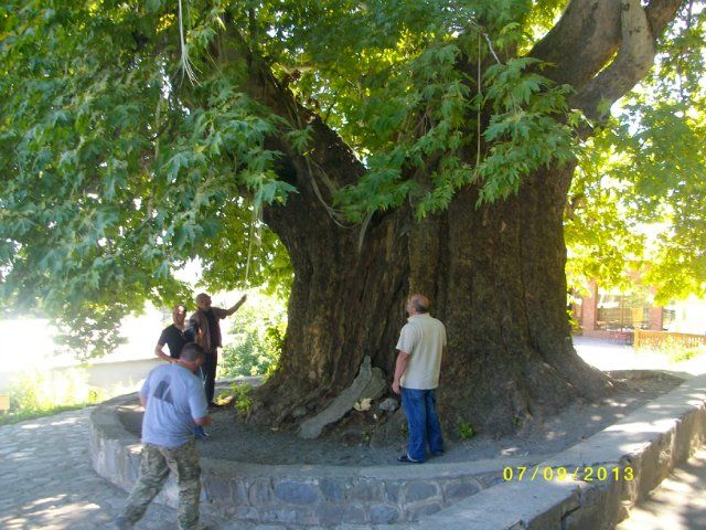 ღვინის ტური კახეთში - " ქინძმარაული ", " მუკუზანი ", " რქაწითელი ", " წინანდალი ", " ქისი ქვევრი " . . . თელავი, წინანდალი, გრემი,ნეკრესი, ყვარელი. . .