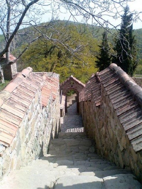 ერთდღიანი ღვინის ტური სიღნაღში, ბოდბის მონასტერი და წმინდანის წყარო . . .