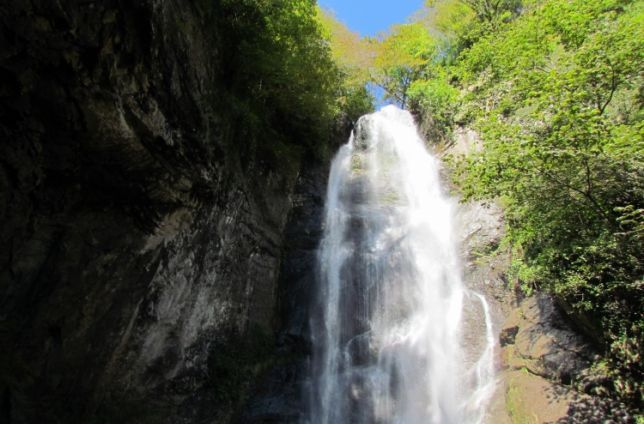 ბათუმი,მაჭახელა