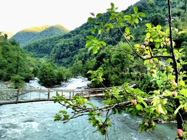 ბათუმი,მაჭახელა