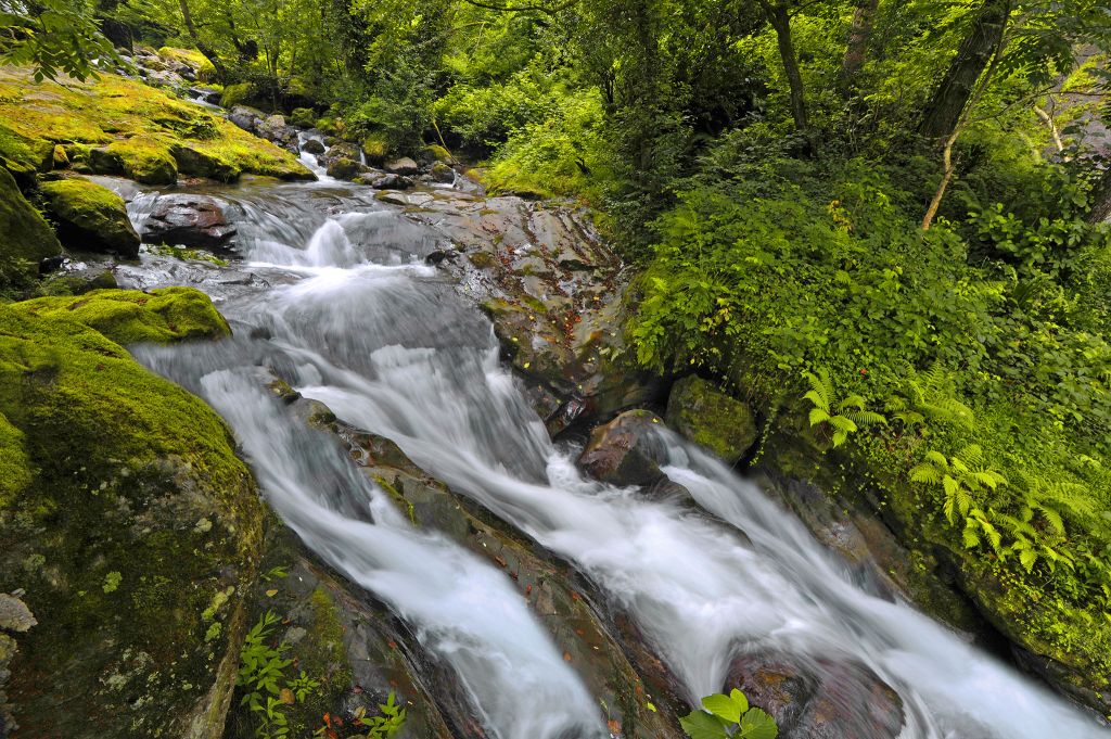 ბათუმი,მაჭახელა
