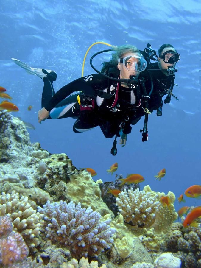 ₾-ად დღე შარმელშეიხში