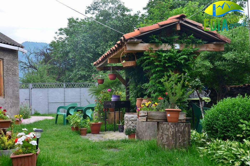 გთავაზობთ ორ დღიან ტურს პანკისის ხეობაში - ივლისი