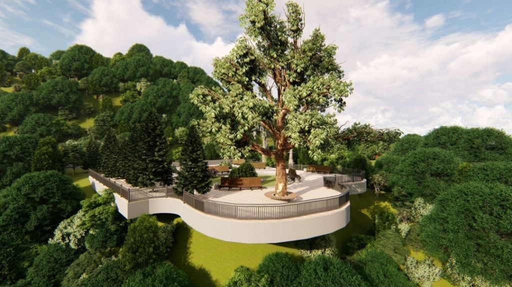 ორ დღიანი ტური აჭარაში ...ბათუმი-მწვანე კონცხი-ბულვარი-დელფინარიუმი-გონიოს ციხე-ბოტანიკური ბაღი....