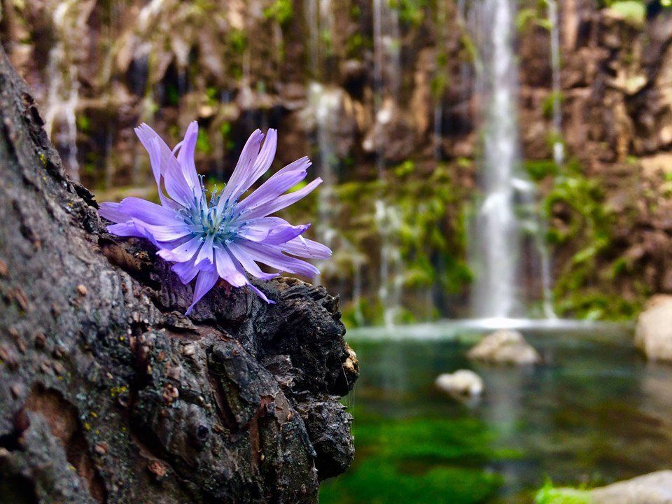დაშბაშის კანიონი და ჯავახეთის ტბები!