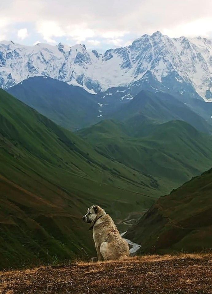 სვანეთის სამ დღიანი ტური,