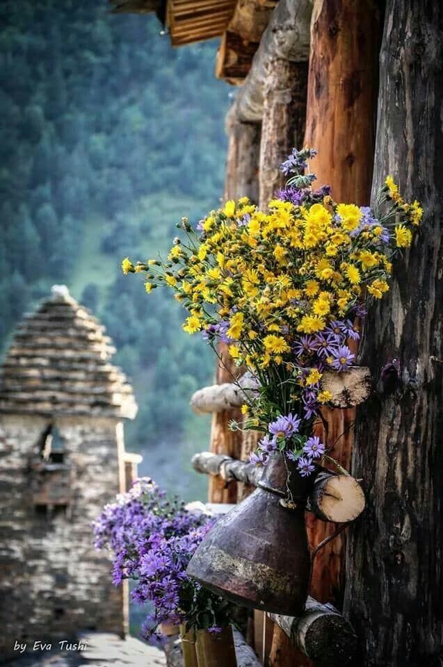 თუშეთის  დღიანი ტური, ,,, აგვიტო