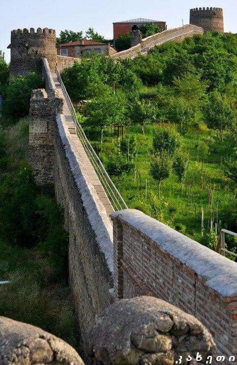 სიღნაღი - ლეგენდარული თავშესაფარი, წმინდანის მონასტერი, სასწაულმოქმედი წყარო . . . მსოფლიო ბრენდი " ჭაჭა " და ქიზიყის სავიზიტო ბარათი - ხაშლამა . .