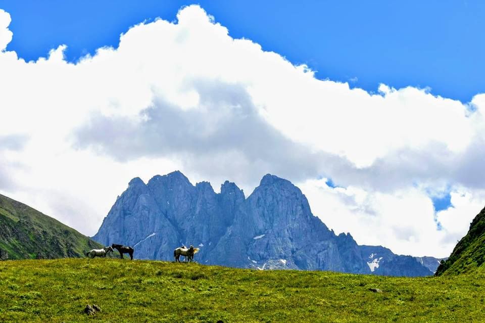 ჯუთა  ივლისს (კვირა)