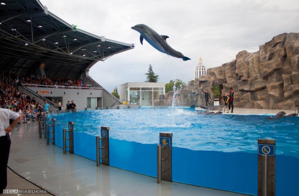 ორ დღიანი ტური აჭარაში ...ბათუმი-მწვანე კონცხი-ბულვარი-დელფინარიუმი-გონიოს ციხე-ბოტანიკური ბაღი....